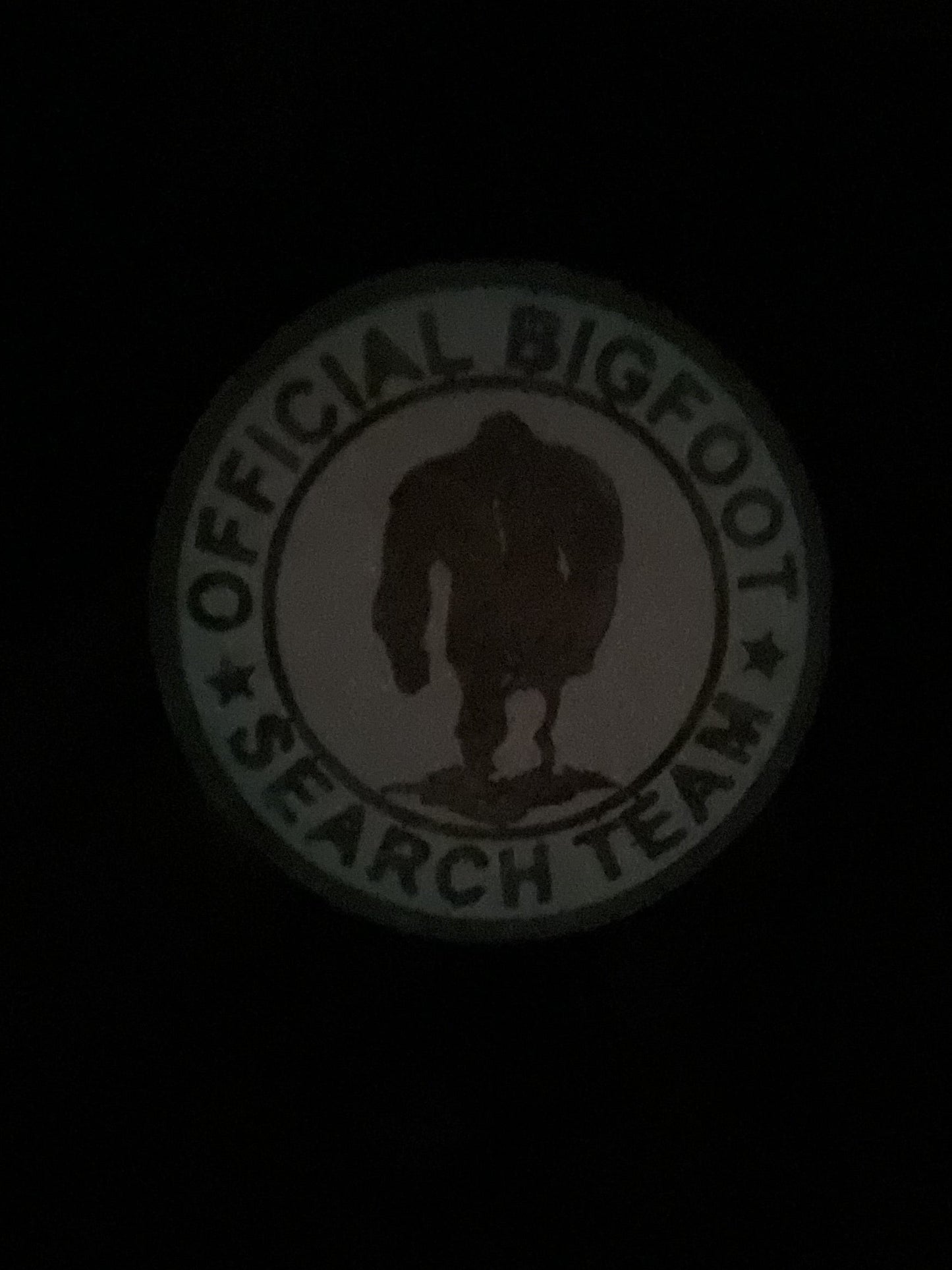 Pink Official Bigfoot Search Team Retractable Badge Reel- Glow in the Dark