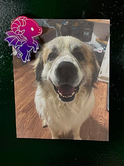 Small Glow in the Dark Jersey Devil Magnet Pink Purple