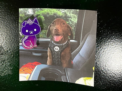 Small Glow in the Dark Chupacabra Magnet