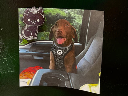 Small Purple Chupacabra Magnet