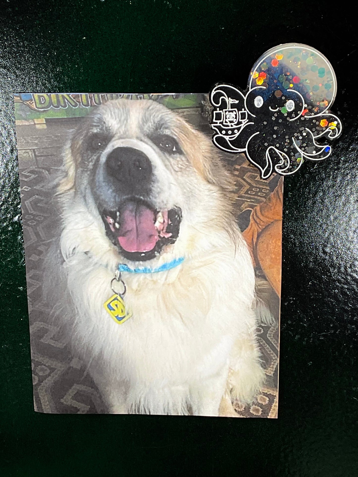 Small Black & White Kraken Magnet