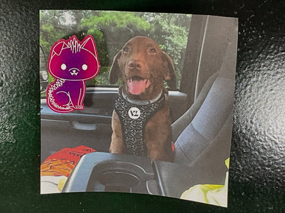 Small Pink Glow in the Dark Chupacabra Magnet