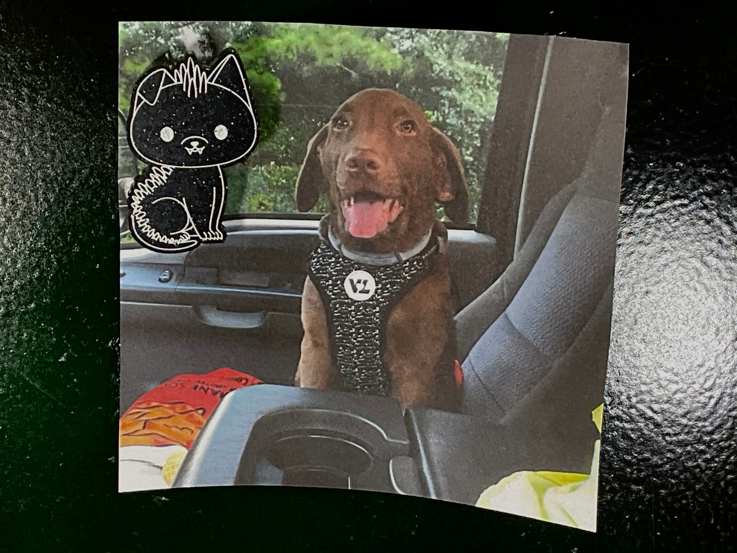 Small Black Chupacabra Magnet