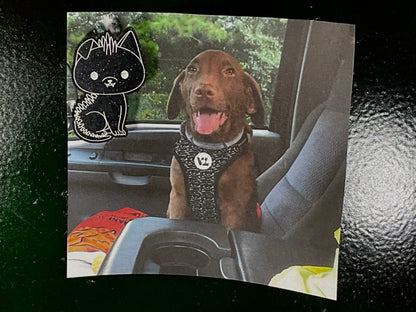 Small Black Chupacabra Magnet